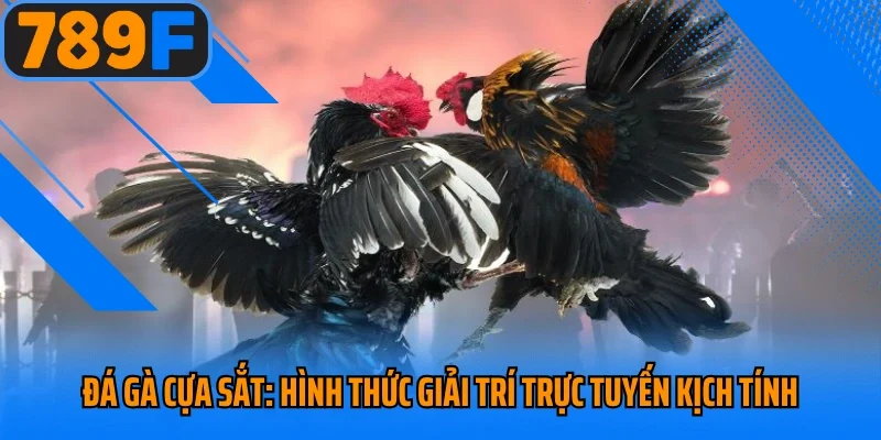 Đá Gà Cựa Sắt