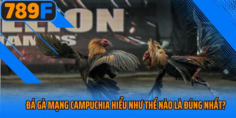 Đá gà mạng Campuchia hiểu như thế nào là đúng nhất?