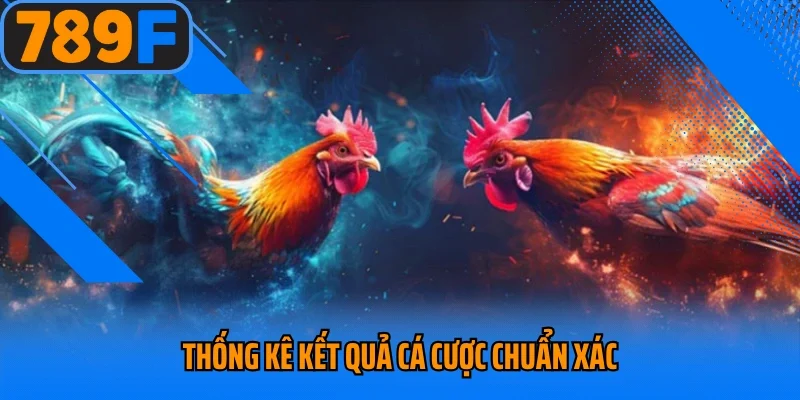 Thống kê kết quả cá cược chuẩn xác
