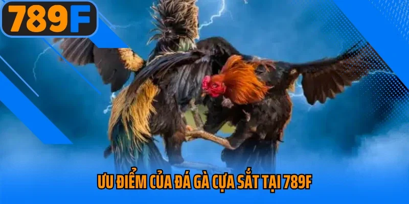 Ưu điểm của đá gà cựa sắt tại 789F